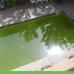 Зелена вода в басейні